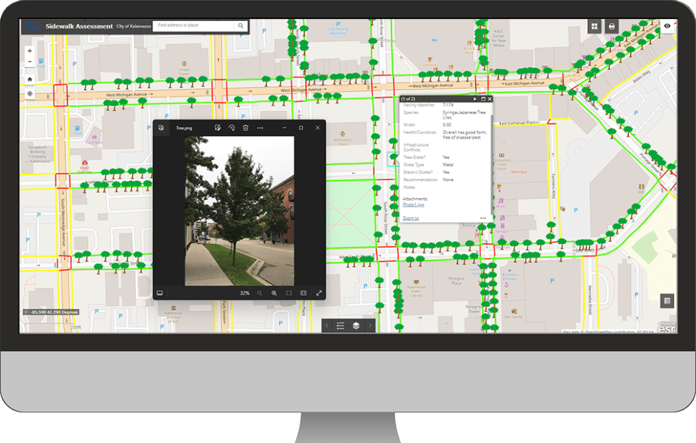 Tree Assessment Dashboard Computer