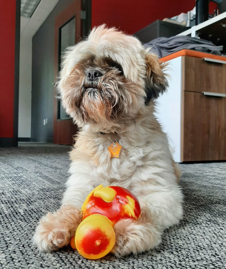 Chico