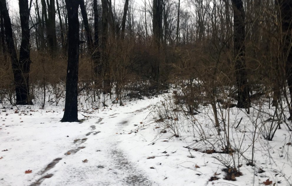 Range Line Park Trail in Winter